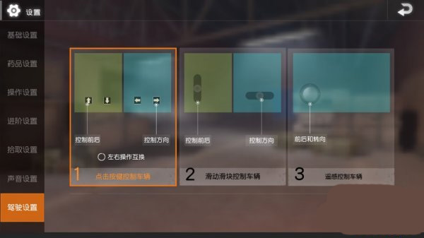 PUBGMOBILE国际服官方正版4