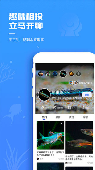 鲲天下app5